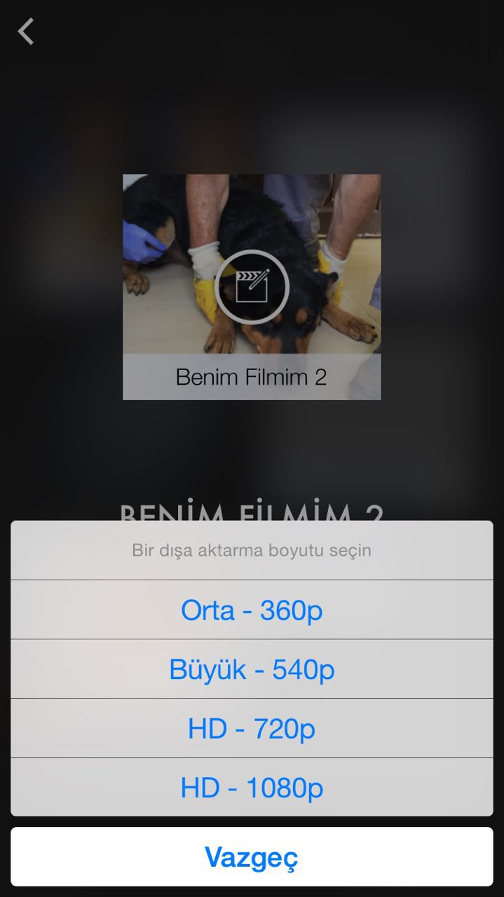 imovie video kaydet