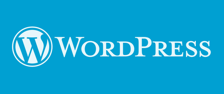 WordPress’teki Tema Sorunu